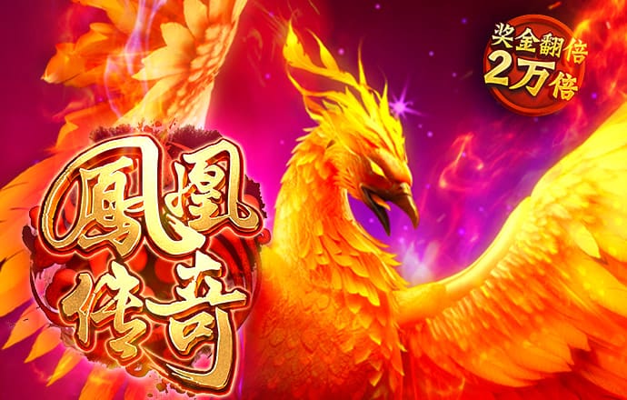 鸿博体育app官网